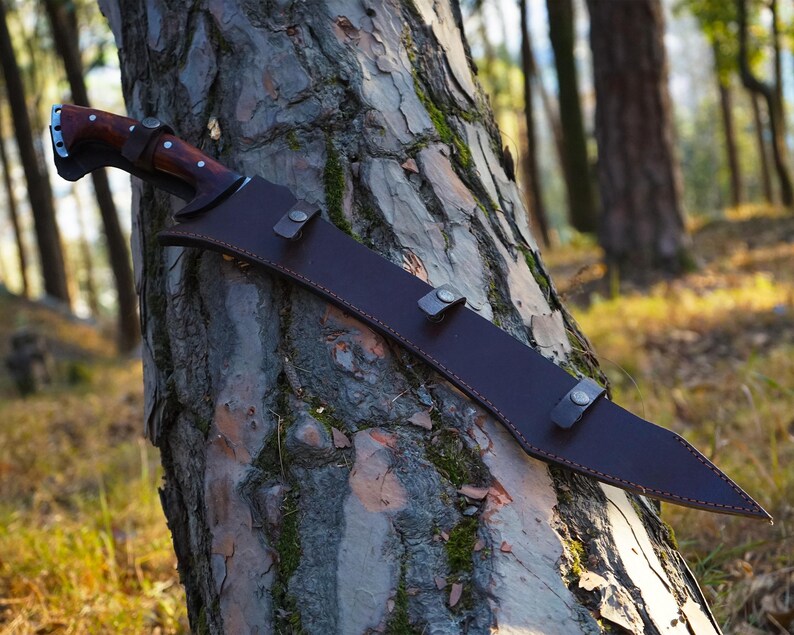 May include: A brown leather scabbard with a long, curved blade. The scabbard has a flap with a snap closure and is secured to a tree trunk.