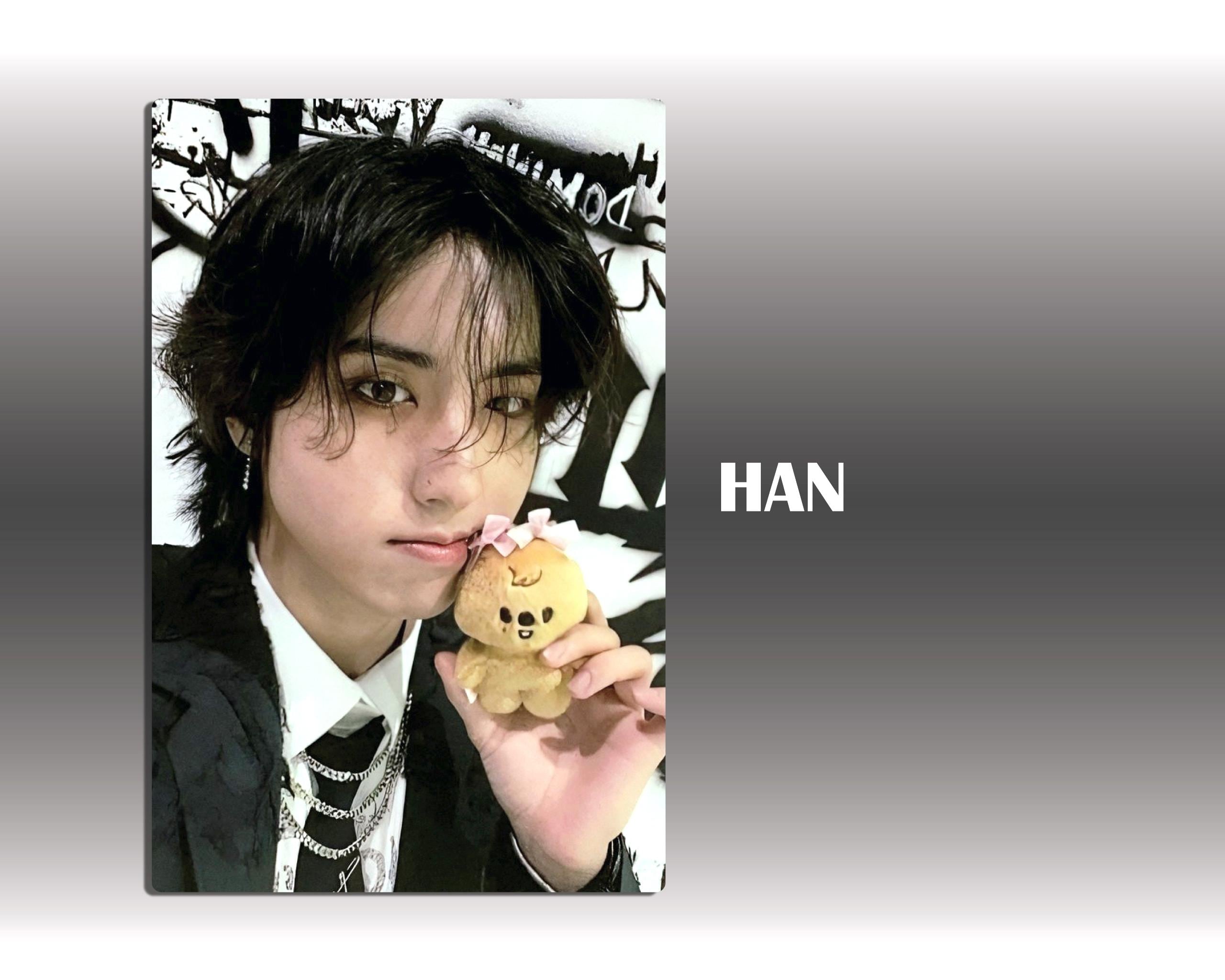 Stray Kids Dominate Seoul STAY Zone Photocards || Unofficial