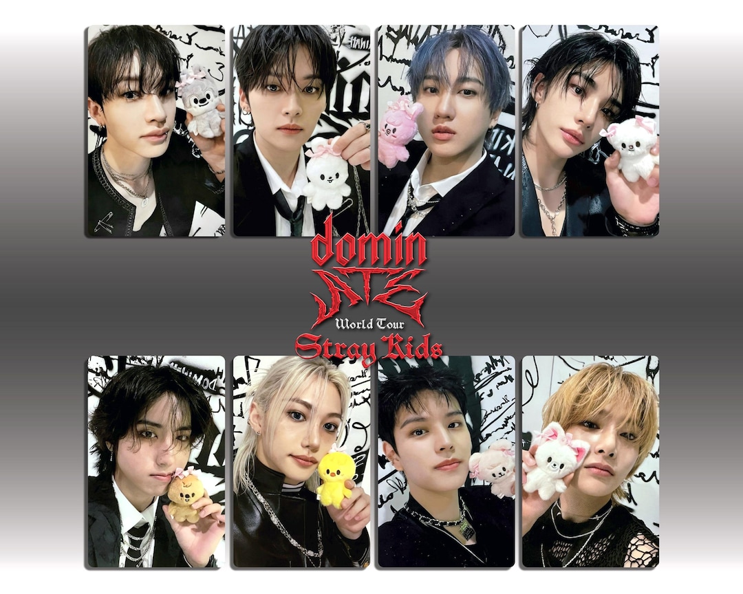 Stray Kids Dominate Seoul STAY Zone Photocards || Unofficial