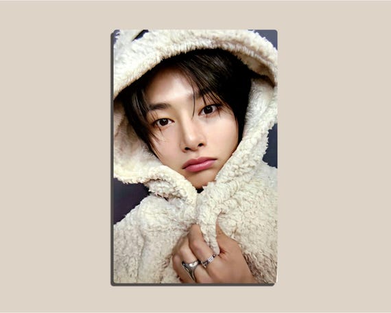 Stray Kids Teddy Bear Themed Photocards (karma Album PC