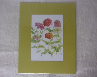 Impression botanique florale aquarelle 5 x 7 Zinnias dans un tapis 8 x 10 avec 5 choix de couleurs