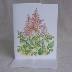 Różowe Astilbes Botaniczna Akwarela Kwiatowa Pojedyncza Karta 4x5