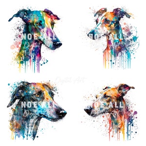 Pode incluir: Quatro pinturas de aquarela de c&atilde;es galgos com respingos de tinta coloridos. Os c&atilde;es est&atilde;o olhando em dire&ccedil;&otilde;es diferentes e t&ecirc;m pelagens de cores diferentes.