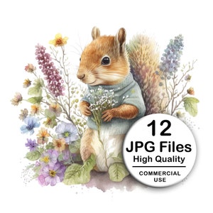 Cute Squirrel, Wildflowers Clipart - 12 of High Quality JPG - Decoupage, Wall Art, Scrapbook, Papercraft Kawaii Kit - Child Digital Download