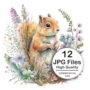 Cute Squirrel, Flowers Clipart - Set 12 High Quality JPG - Decoupage, Wall Art, Scrapbook & Papercraft Files Kit - Animal Digital Download