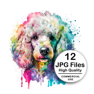 Poodle Clipart - Set of 12 High Quality JPG - Decoupage, Wall Art, Scrapbook & Papercraft File Kit - Instant Watercolor Pet Digital Download
