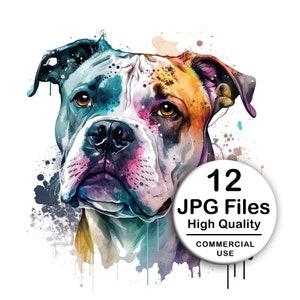 American Bulldog Clipart - Set 12 High Quality JPG - Decoupage, Wall Art, Scrapbook & Papercraft Files Kit - Watercolor Pet Digital Download