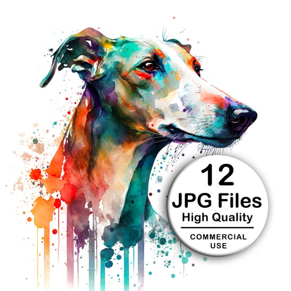 Greyhound Clipart - Set 12 High Quality JPG - Decoupage, Wall Art, Scrapbook & Papercraft File Kit - Instant Pet Watercolor Digital Download