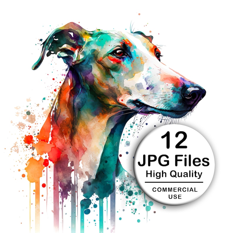 Pode incluir: Uma pintura de aquarela de uma cabe&ccedil;a de cachorro com respingos de cor no fundo. O c&atilde;o &eacute; um galgo com uma pelagem branca e marrom. A pintura est&aacute; em um estilo vibrante com respingos de vermelho, laranja, amarelo, verde, azul e roxo. O texto "12 JPG Files High Quality COMMERCIAL USE" est&aacute; em um c&iacute;rculo branco no canto inferior direito da imagem.