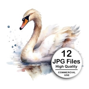 Swan Clipart - Set of 12 High Quality JPG - Decoupage, Wall Art, Scrapbook & Papercraft Files Kit - Instant Bird Digital Download