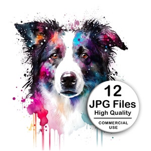 Könnte beinhalten: Ein Aquarellbild eines Border Collies mit Spritzern von rosa, blauer und lila Farbe. Der Hund schaut direkt auf den Betrachter. Das Bild enthält den Text "12 JPG-Dateien Hohe Qualität KOMMERZIELLE NUTZUNG".