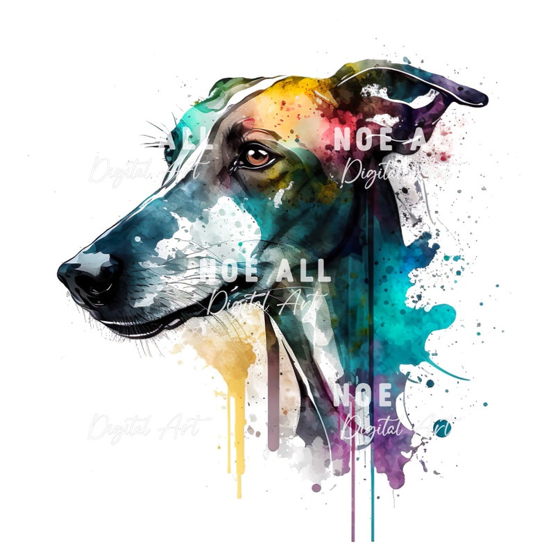 Pode incluir: Pintura em aquarela da cabe&ccedil;a de um c&atilde;o galgo com respingos de tinta azul, verde, amarela e roxa.