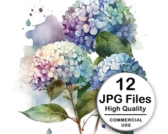 Hydrangea Clipart - Set 12 High Quality JPG - Decoupage, Wall Art, Scrapbook & Papercraft Files Kit - Botanical Watercolor Digital Download