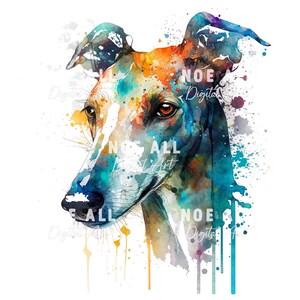Pode incluir: Pintura a aquarela de um c&atilde;o galgo com respingos de tinta azul, verde, laranja e amarela. Os olhos do c&atilde;o s&atilde;o castanhos e a pintura tem um fundo branco.