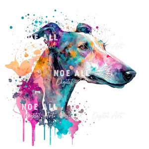Pode incluir: Uma pintura em aquarela de um galgo com respingos de tinta rosa, azul, amarela e roxa. A cabe&ccedil;a do c&atilde;o est&aacute; virada para o lado e seus olhos est&atilde;o fechados. O fundo &eacute; branco.