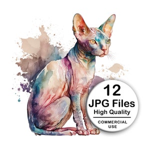 May include: Watercolour painting of a hairless cat sitting on a white background. The cat is painted in shades of pink, purple, blue, and green. The background has a watercolour wash of brown and purple.