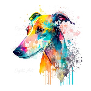 Pode incluir: Uma pintura de aquarela colorida da cabe&ccedil;a de um c&atilde;o galgo. A pelagem do c&atilde;o &eacute; pintada em tons de amarelo, laranja, azul e rosa. O fundo &eacute; uma tela branca com respingos de cor.