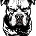 Pit Bull Drawings - Etsy