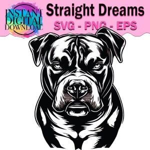 Pit bull Drawings