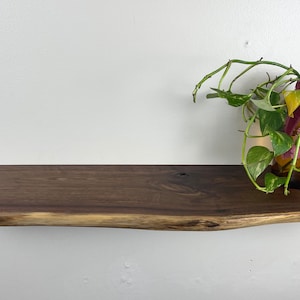 Black Walnut Live Edge Shelves 1&quot; Inch Thickness-Custom Orders