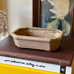 May include: A rectangular ceramic bonsai pot with a beige glaze and a prominent dark brown crackle finish. The vessel features beveled corners, a wide opening, and a shallow basin, showcasing a distinct network of fine lines across its exterior.