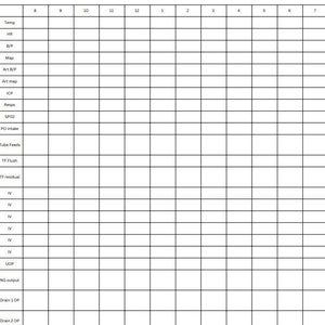 Puede incluir: Un gráfico en blanco con encabezados para signos vitales y otra información médica, que incluye temperatura, frecuencia cardíaca, presión arterial y entrada y salida. El gráfico está dividido en columnas para cada hora del día, de 8 am a 7 pm.