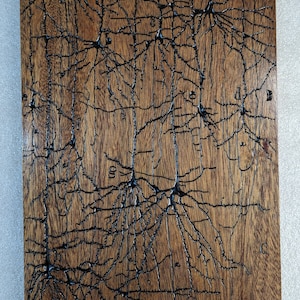 Wood Carving Adaptation of a Golgi Stain Drawing of Cortical Neurons by Santiago Ramón y Cajal, &quot;Primera Circunvolución Esfenoidal&quot;