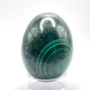 Polished Malachite Crystal Egg (Democratic Republic of the Congo) - 183g, beautiful flowering and eyes!