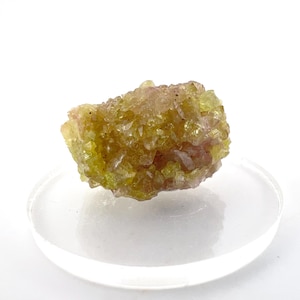 Bicolor Vesuvianite Cluster Specimen (Jeffrey Pit Mine, Quebec, Canada) -- 7g
