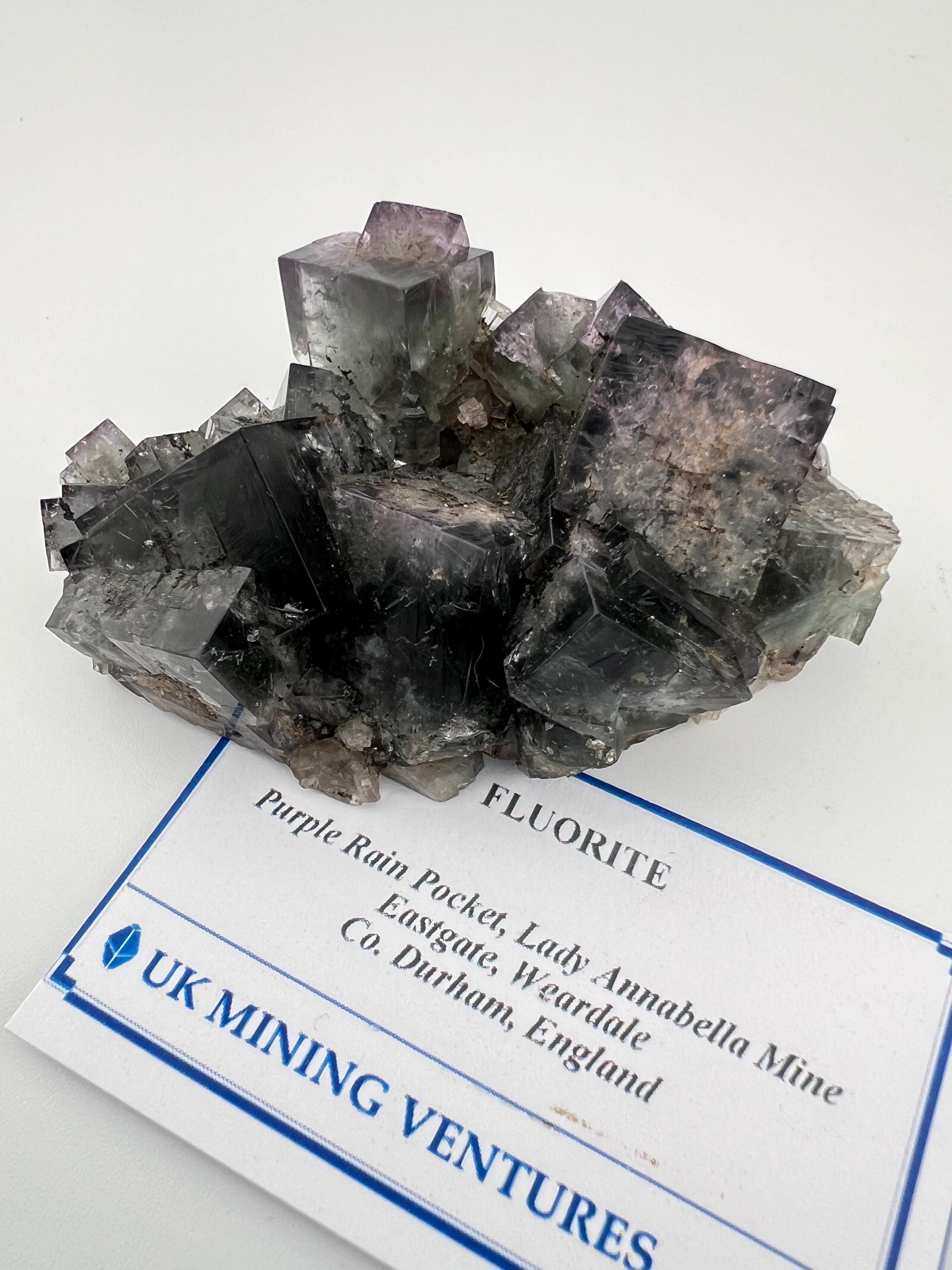 UK Lady Annabella Mine Purple Rain 蛍石 Fluorite Purple Rain Pocket, Lady Annabella Mine, England
