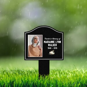 Interface de Stake Casino montrant les jeux et les paris