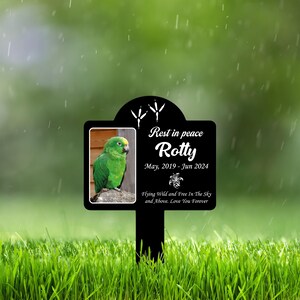 Pet Grave Marker With Photo, Grave Marker For Parrot Personalized, Pet Memorial Plaques, Pet Sympathy Gifts, Loss of Pet Grave Marker