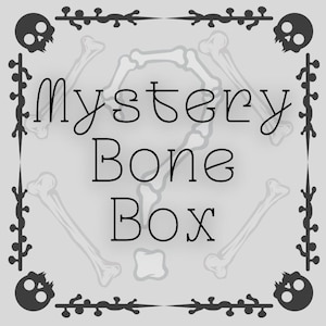 May include: Black and white illustration of bones with a decorative border. The text "Mystery Bone Box" is written in black.