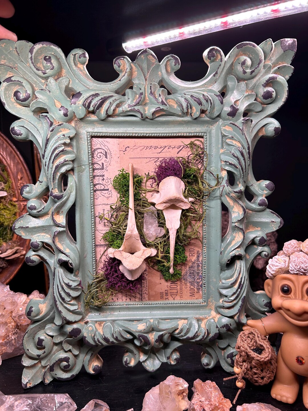 Framed Authentic Deer Vertebrae Bones - Natural Bone Crafts - Bone Art ...