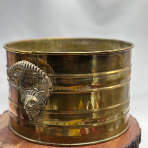 May include: A vintage brass planter with a lion's head detail. The cylindrical container has horizontal bands and a warm, metallic finish. It sits on a round, wooden base with a natural edge, showcasing a rustic aesthetic.