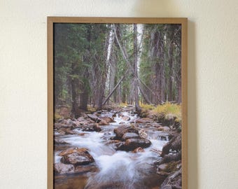 Forest Creek Photography Print: Framed Vertical Landscape Wall Art