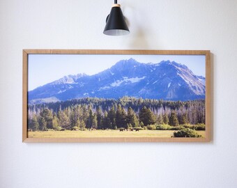 Elk in Sawtooth Mountains Print: Rustic Wildlife Photography, Framed Canvas