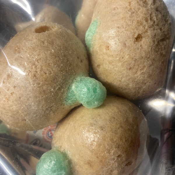 Freeze Dried Caramel Apple Pops Etsy