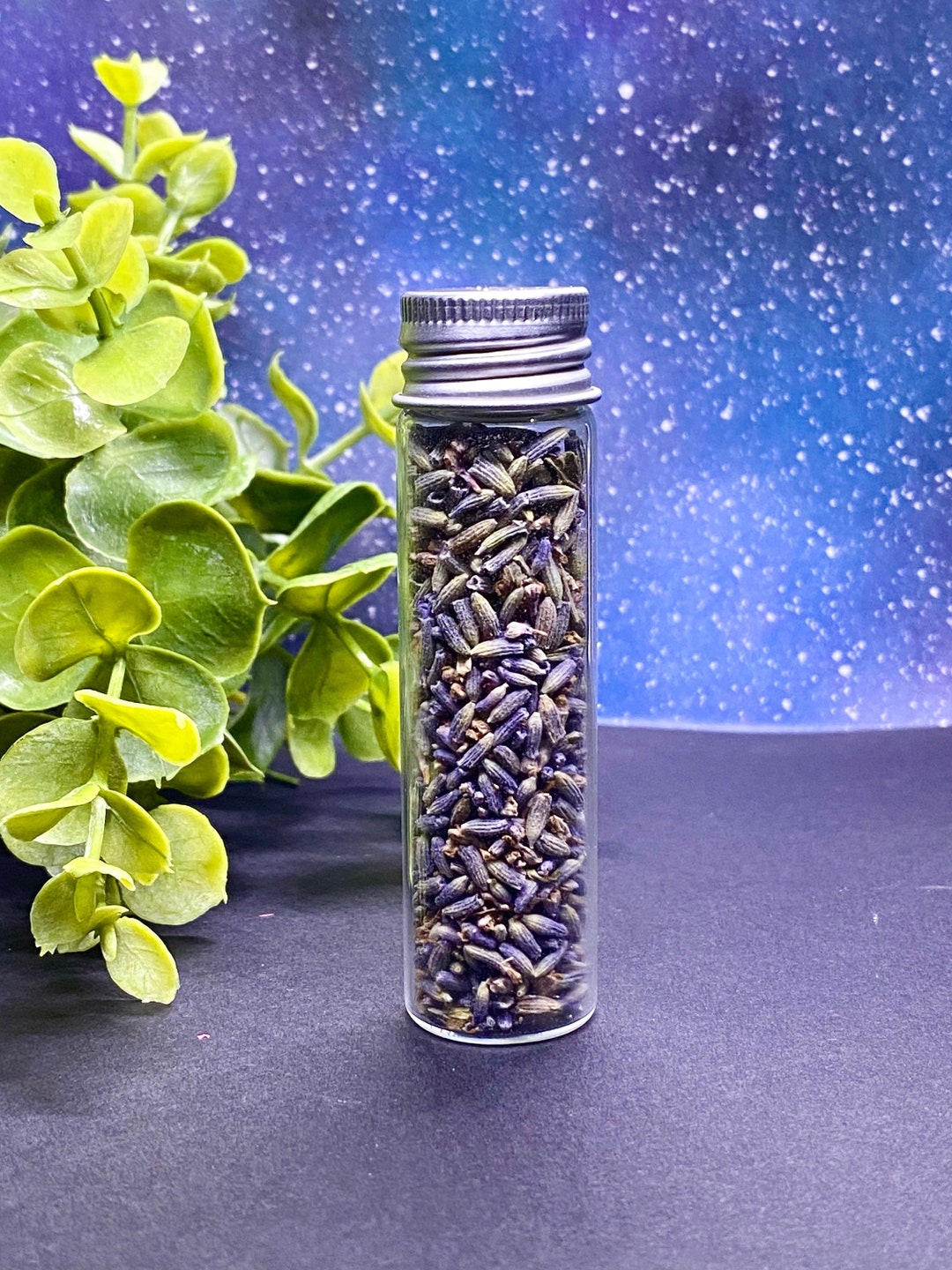 Dried Lavender Aromatherapy Buds Vile of Lavender Dry Etsy