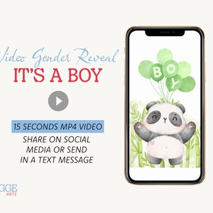 It&#39;s a Boy, Digital Gender Reveal Video, Gender Announcement Video for Social Media, Baby Boy Pregnancy Announce for Family and Friends