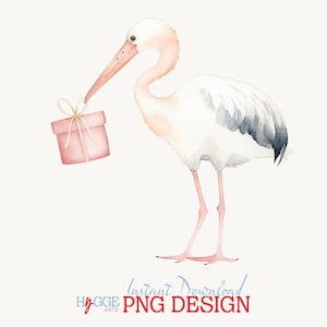 Storch Rosa Baby Shower PNG Clipart - Es ist ein Mädchen Sublimationsdesign, Gender Reveal, Baby Party Einladung png, persönlicher und kommerzieller Gebrauch