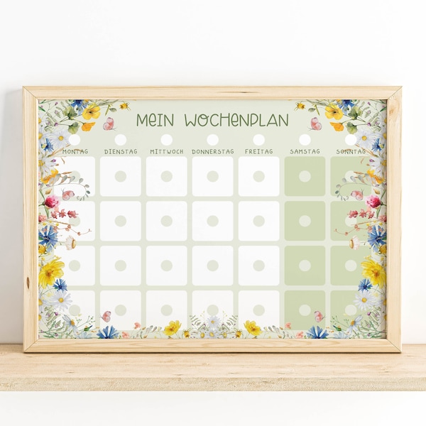 PDF Montessori Wochenplan : Kinder Routineplan mit 150 Aktivitätskarten, PNG Sofort-Download zum selbst Ausdrucken | Motiv Natur Wildblumen