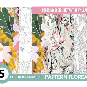 May include: Coloring book with five floral patterns. The book includes a color-by-number page and a pattern page. The text "COLOR BY NUMBER" and "PATTERN FLOREAL" is included in the image.