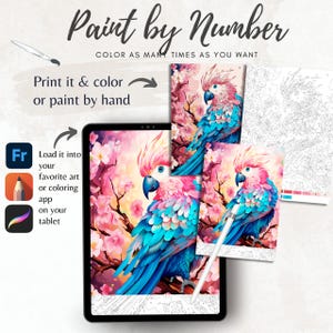 Color By Number for Adult,Paint by Number Printable,Beautiful Parrot , Coloring Pages,Sheet Digital Download,Advanced detailed Book|1300
