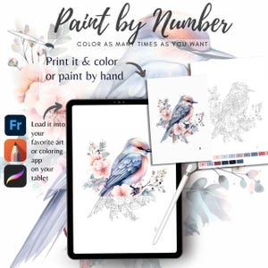 Color By Number for Adult, Paint by Number Printable,Beautiful Bird, Coloring Pages ,Sheets Digital Download,Advanced detailed Book| 1173