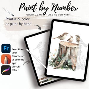Color By Number for Adult| Wild Bird Woodland Animal Paint by Number Printable,Coloring Page ,Sheet Digital Download,Advanced detailed| 1816