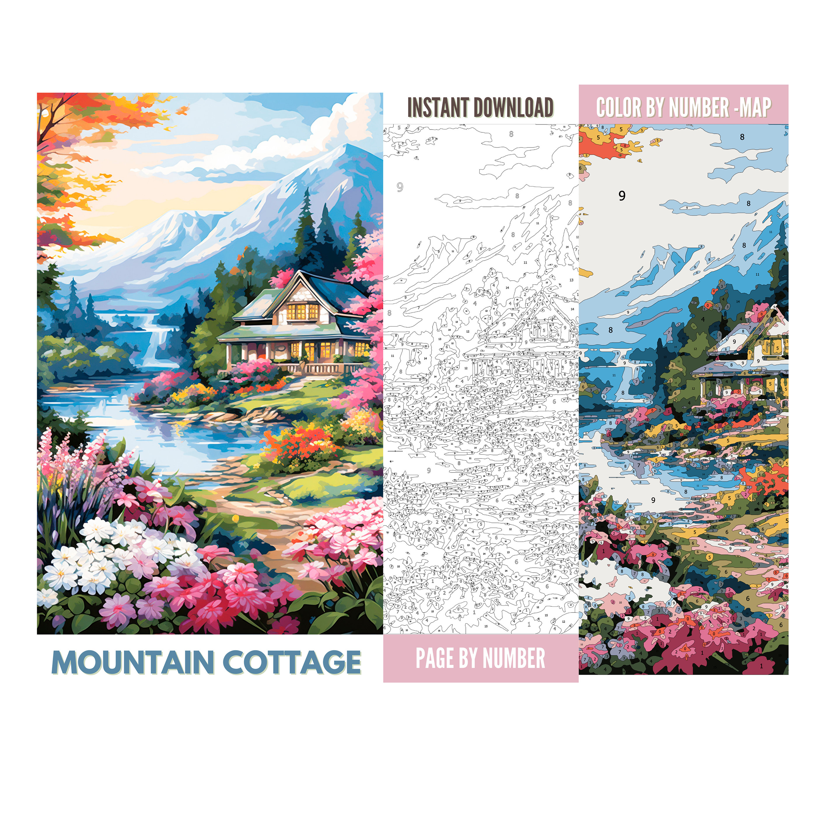 Color by Number for Adultpaint by Number Printable10 - Etsy
