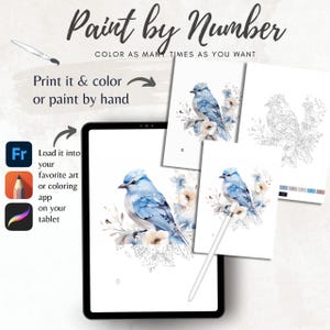 Color By Number for Adult, Paint by Number Printable,Beautiful Bird, Coloring Pages ,Sheets Digital Download,Advanced detailed Book| 1171