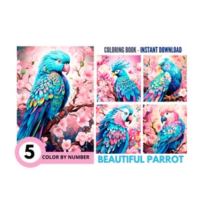 5 Beautiful Parrot Color By Number for Adult,Paint by Number Printable,Coloring Page,Sheet Digital Download,Advanced detailed Book|1307