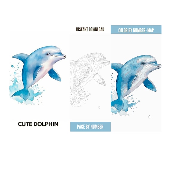 Color by Number for Adult, Paint by Number Printable, Cute Dolphin